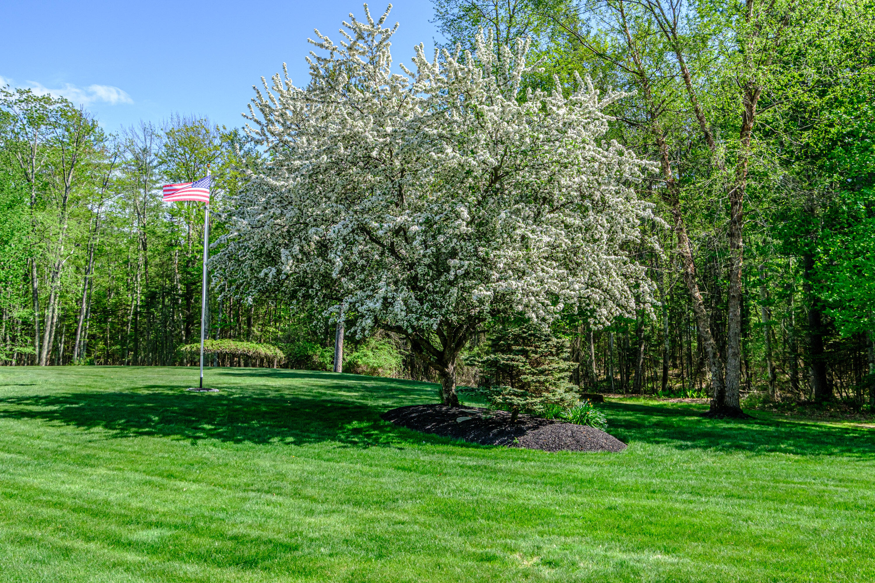 18 Herrick Road Gorham, ME 04038 - Photo 8 of 158 20260520gp-62007