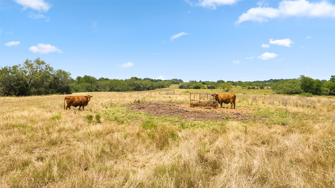 3575 Westwood Road Lockhart, TX 78644 - Photo 7 of 32 a view of lake view and mountain view