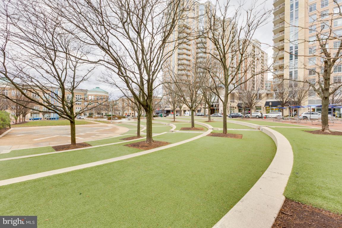 11652 American Dream Way Reston, VA 20190 - Photo 39 of 51 a view of yard with trees