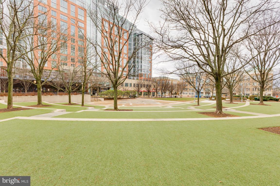 11652 American Dream Way Reston, VA 20190 - Photo 40 of 51 a city view with large trees