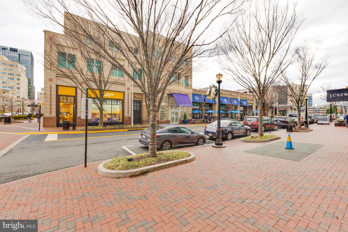 11652 American Dream Way Reston, VA 20190 - Photo 45 of 51 a view of a park with large trees