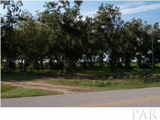 4565 Spring Street Jay, FL 32565 - Photo 2 of 2 Side view