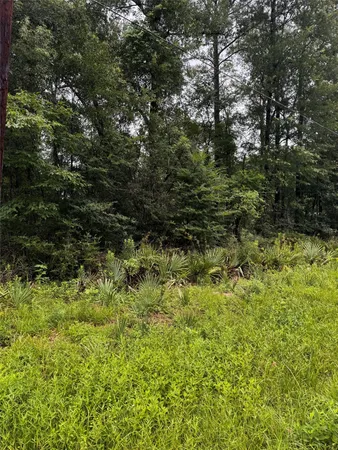 $6,500 | 0 Juanita Lane, Shepherd, TX 77371
