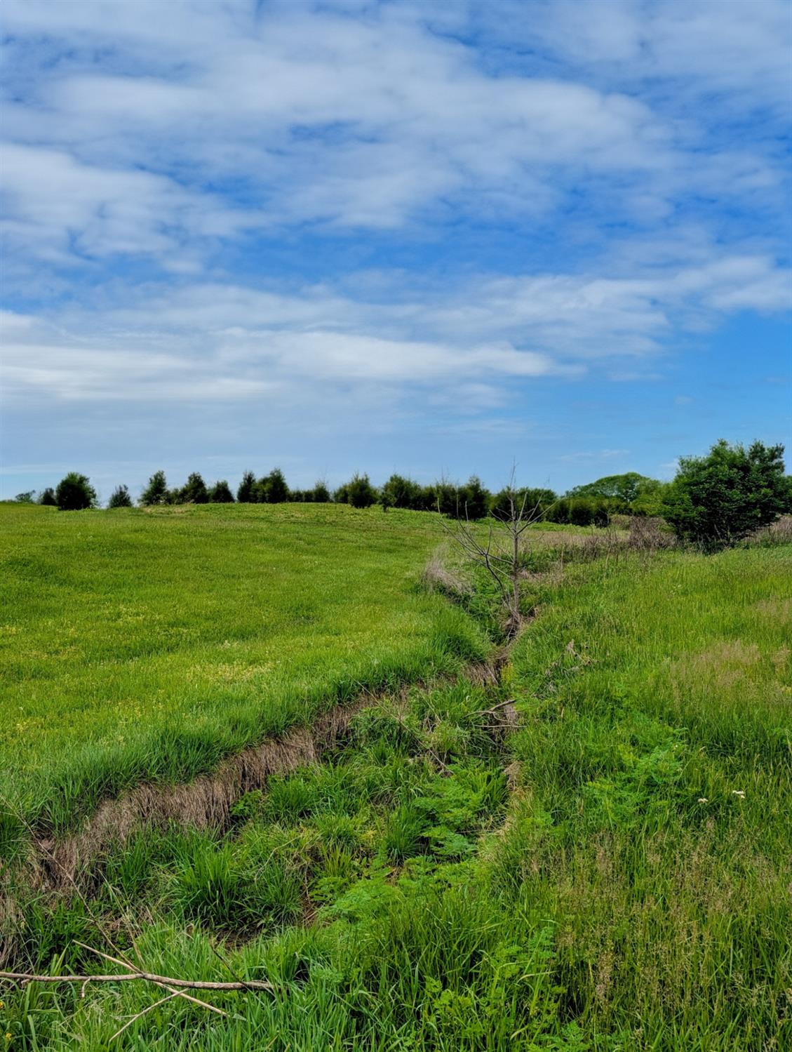 0 Longbranch Road Moores Hill, IN 47032 - Photo 16 of 25