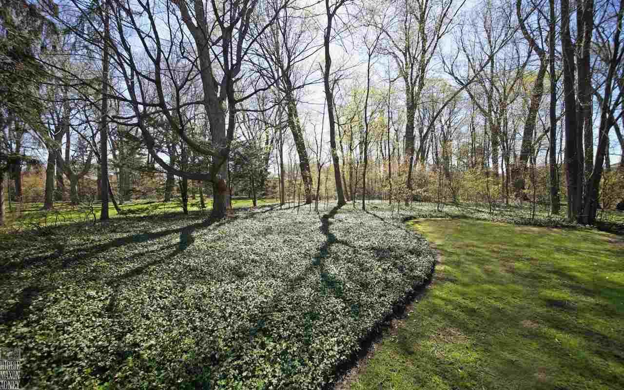 55 South Deeplands Road Grosse Pointe, MI 48236 - Photo 16 of 30 31241193-15.JPG