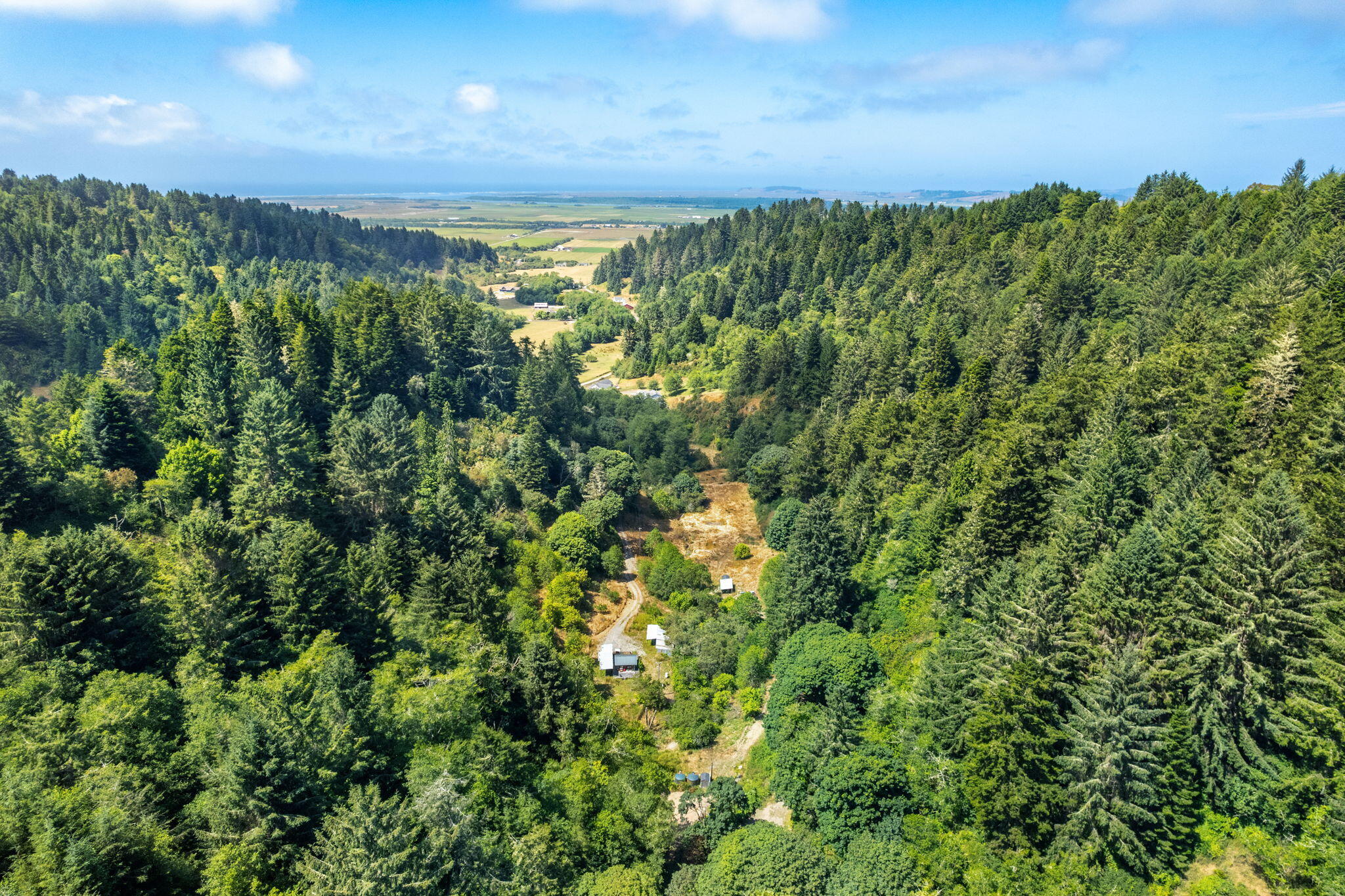 755-763 Oeschger Road Ferndale, CA 95536 - Photo 24 of 36 a view of a green field