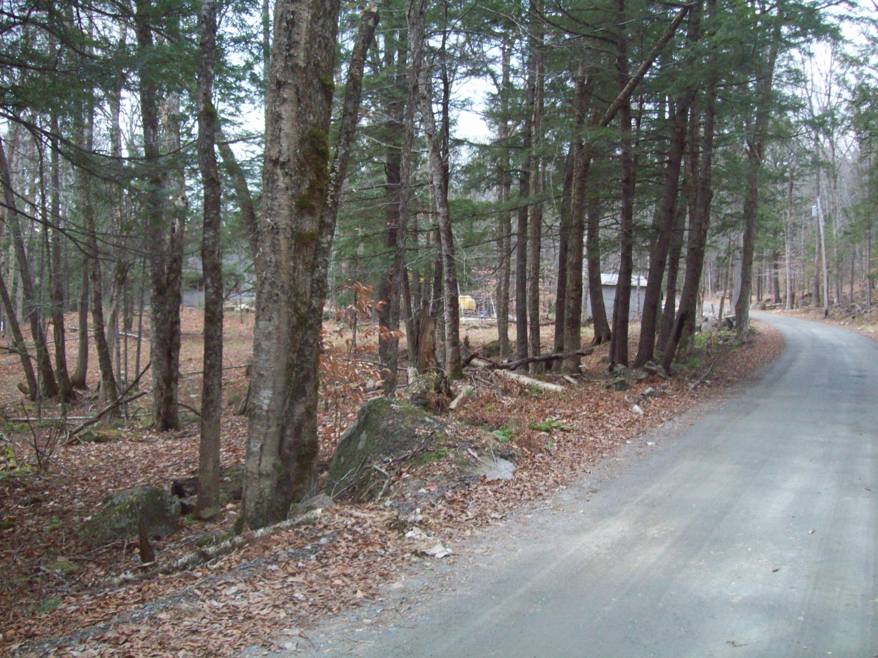 63 Bear Point Road Dover-Foxcroft, ME 04426 - Photo 15 of 16 100_0628