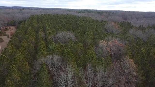 $89,900 | Vl North High Bridge Road, Brethren, MI 49619