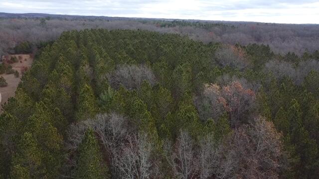 2025-11-21-10-39-34-222