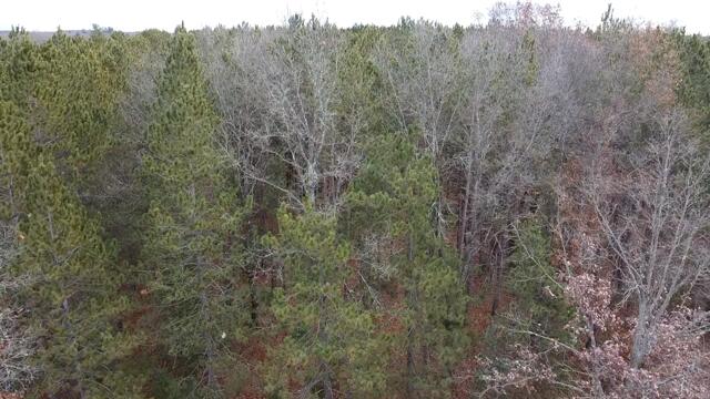 Vl North High Bridge Road Brethren, MI 49619 - Photo 13 of 18 2025-11-21-10-39-27-016