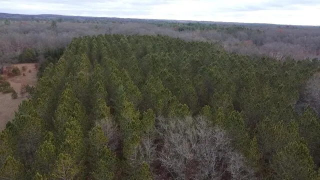 $89,900 | Vl North High Bridge Road, Brethren, MI 49619