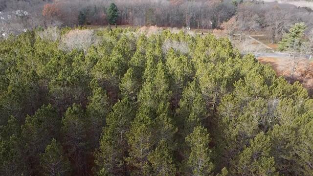 Vl North High Bridge Road Brethren, MI 49619 - Photo 16 of 18 2025-11-21-10-40-34-029 (1)