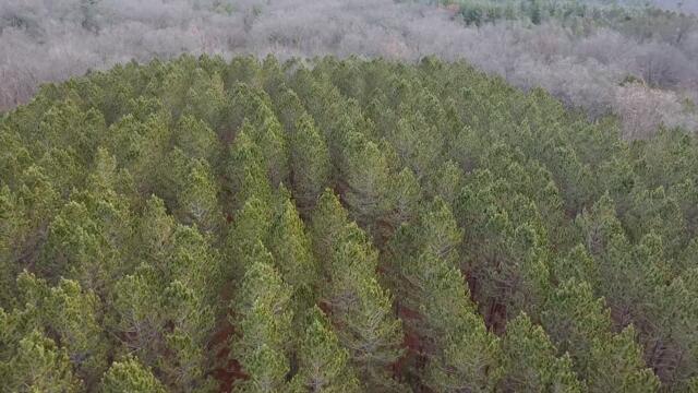 Vl North High Bridge Road Brethren, MI 49619 - Photo 17 of 18 2025-11-21-10-40-24-525 (1)