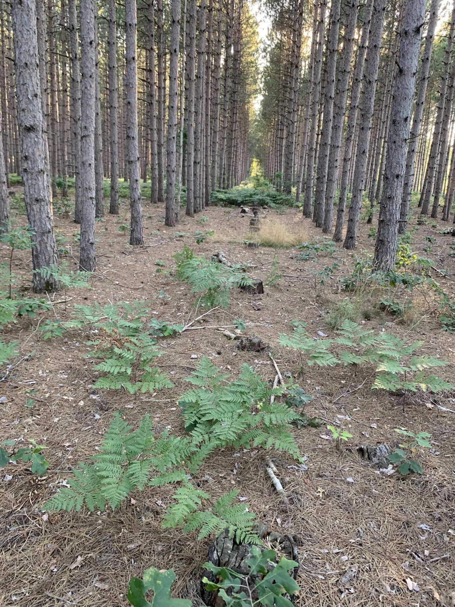 Vl North High Bridge Road Brethren, MI 49619 - Photo 18 of 18 Brethrenvacant2 (1)