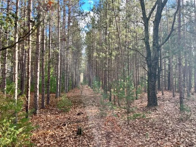 $89,900 | Vl North High Bridge Road, Brethren, MI 49619