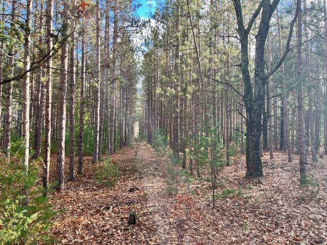 Vl North High Bridge Road Brethren, MI 49619 - Photo 5 of 18 IMG_7904