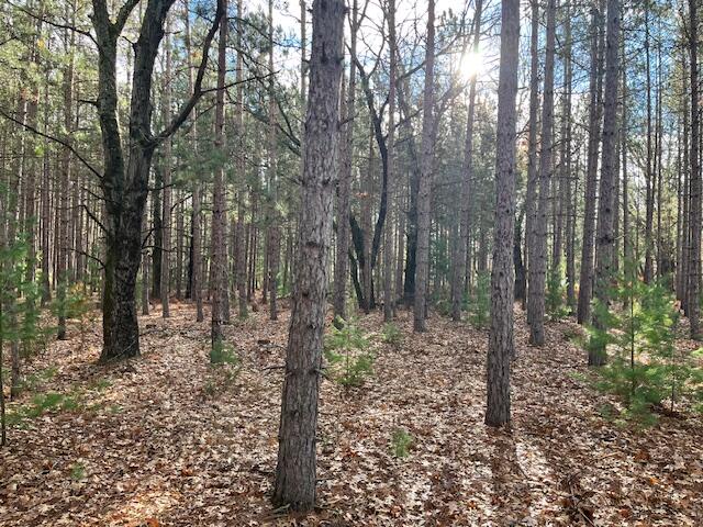 Vl North High Bridge Road Brethren, MI 49619 - Photo 6 of 18 IMG_7905