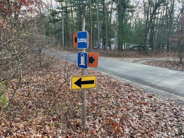 Vl North High Bridge Road Brethren, MI 49619 - Photo 9 of 18 IMG_7910