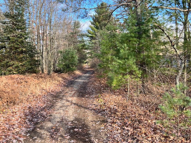 Vl North High Bridge Road Brethren, MI 49619 - Photo 10 of 18 unnamed (9)