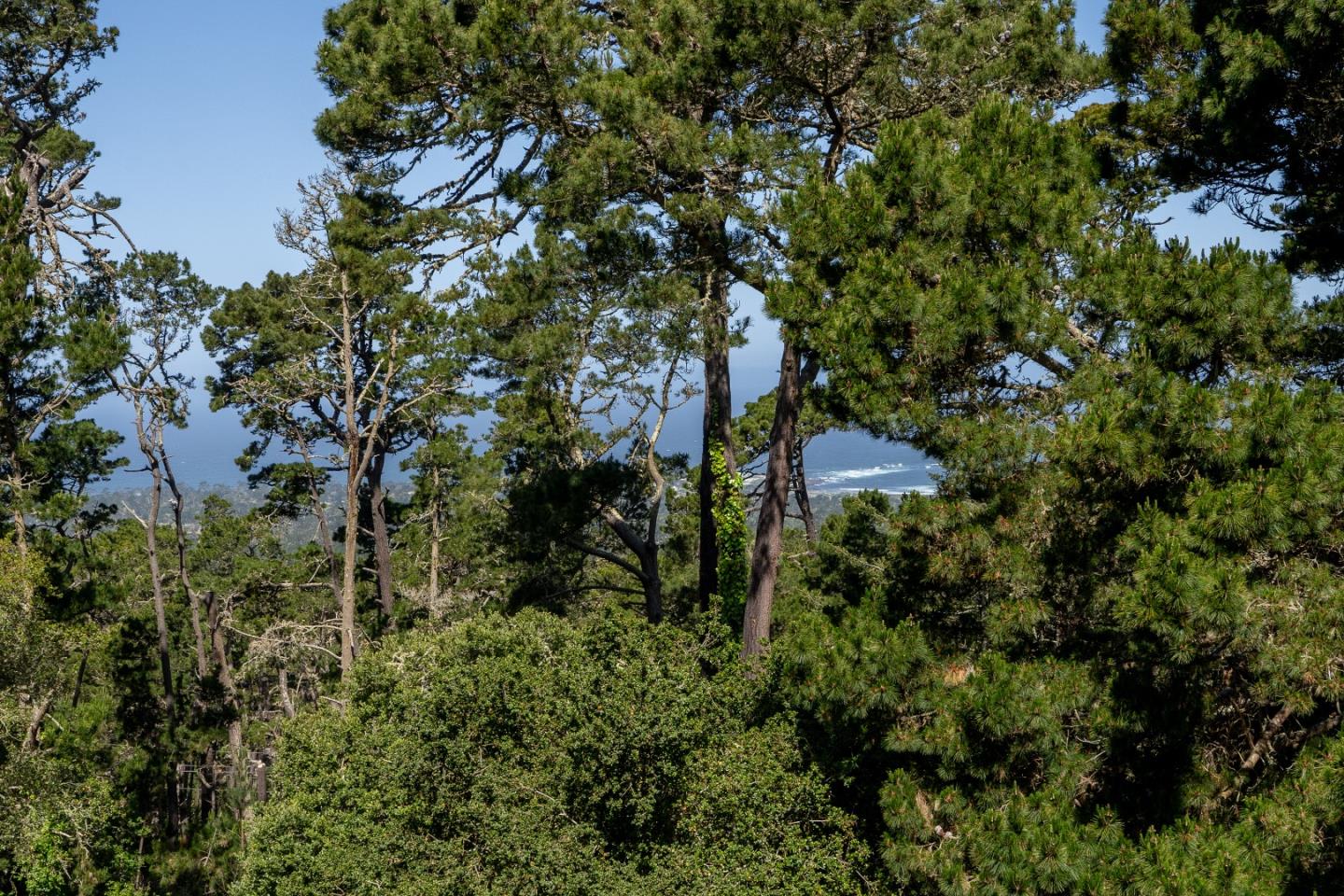 250 Forest Ridge Road, Unit 14 Monterey, CA 93940 - Photo 2 of 35 Gallery Image 2