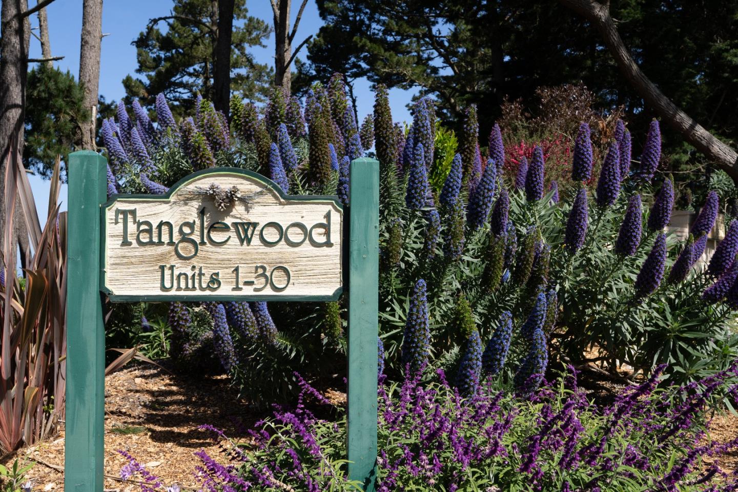 250 Forest Ridge Road, Unit 14 Monterey, CA 93940 - Photo 33 of 35 Gallery Image 33