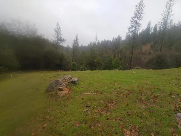 a view of a field with an ocean view