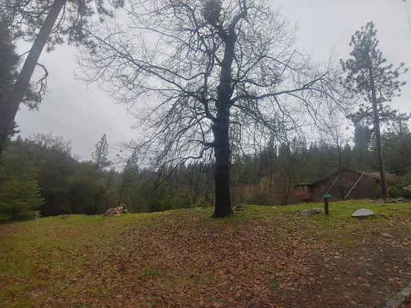 a view of a backyard