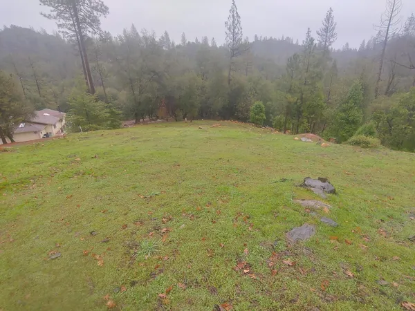a bathroom with a sink yard and trees in the background