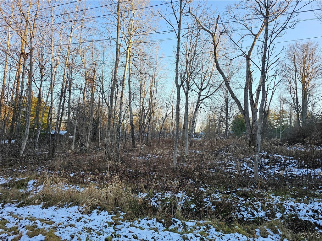 0 Watertower Road Ithaca, NY 14850 - Photo 1 of 1