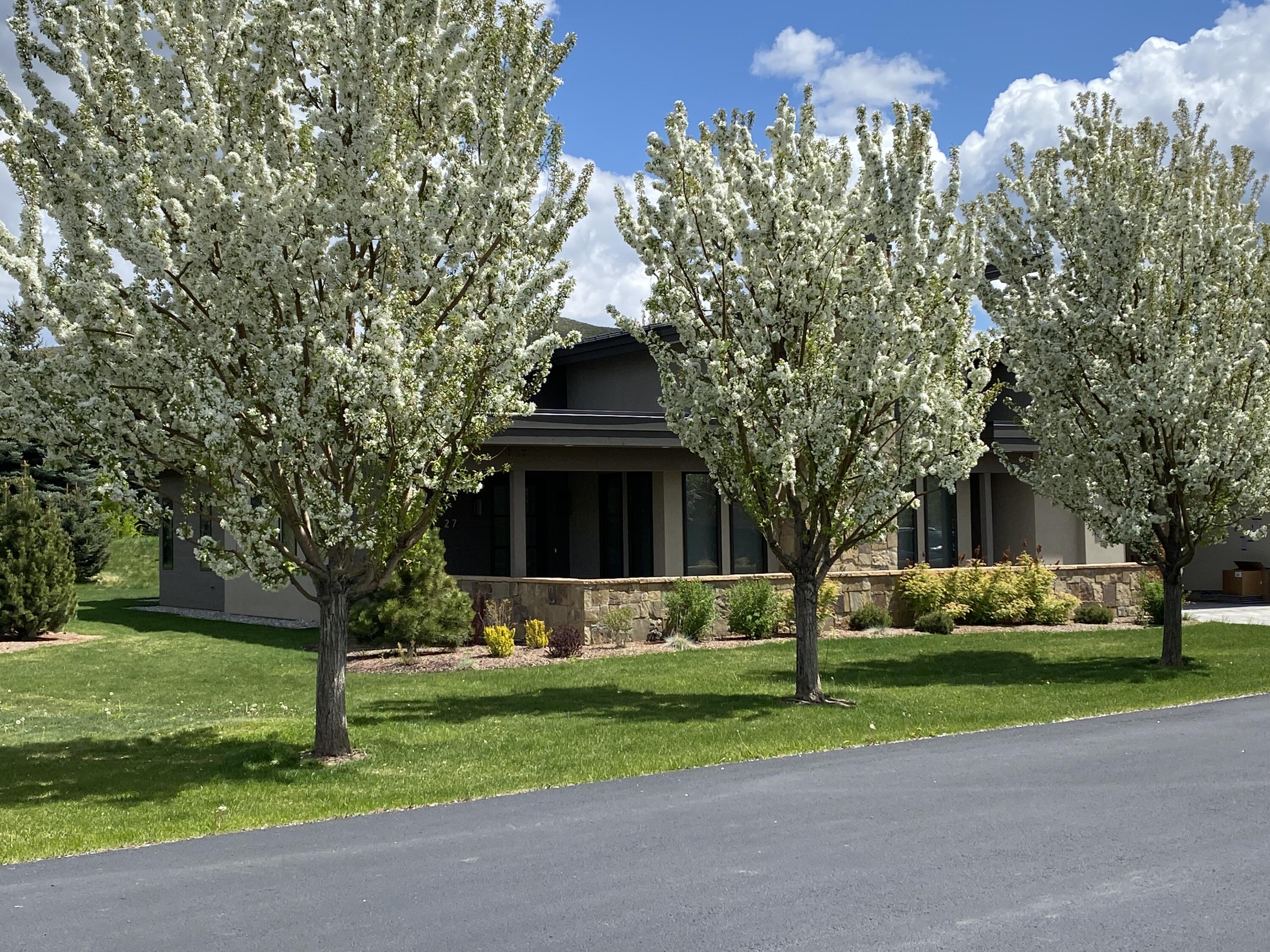 27 Streamside Drive Blaine County, ID 83333 - Photo 38 of 41 Trees in bloom