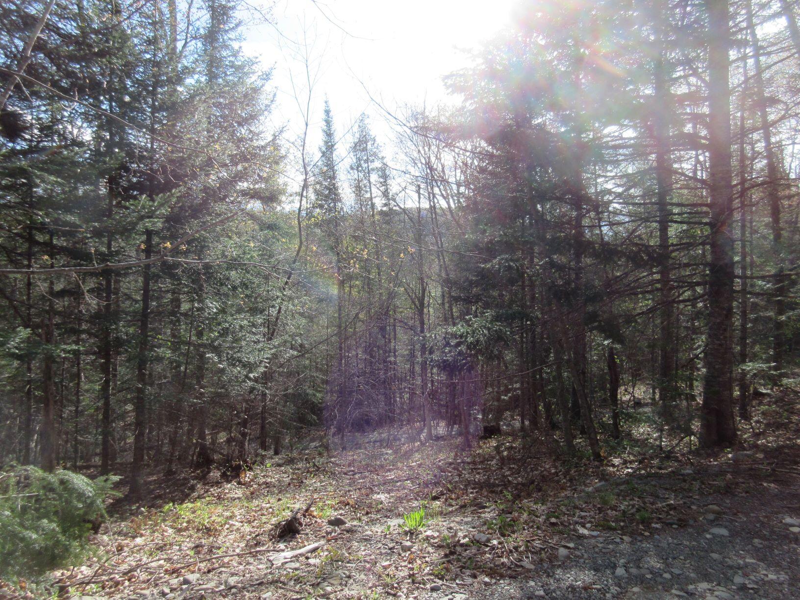 31.31 North Blanchard Shirley Road Abbot, ME 04406 - Photo 3 of 15 3