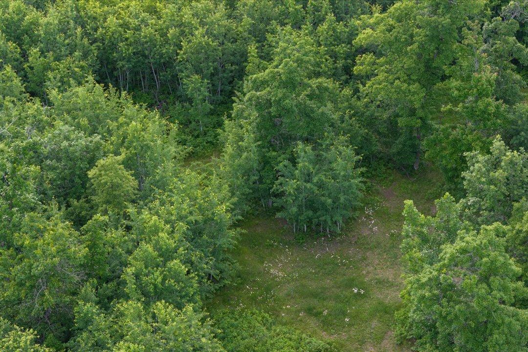 Tbd Mitchell Road Nisswa, MN 56468 - Photo 7 of 22