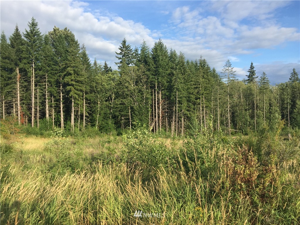 2 South Toutle Road Toutle, WA 98649 - Photo 3 of 6