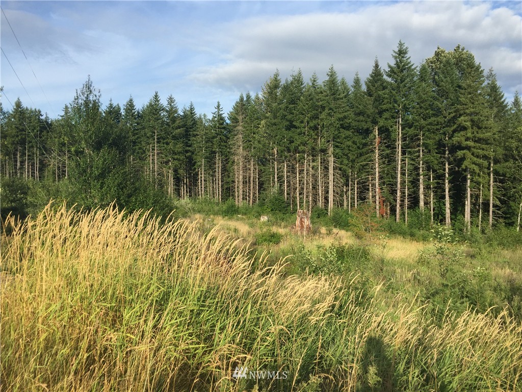 2 South Toutle Road Toutle, WA 98649 - Photo 4 of 6