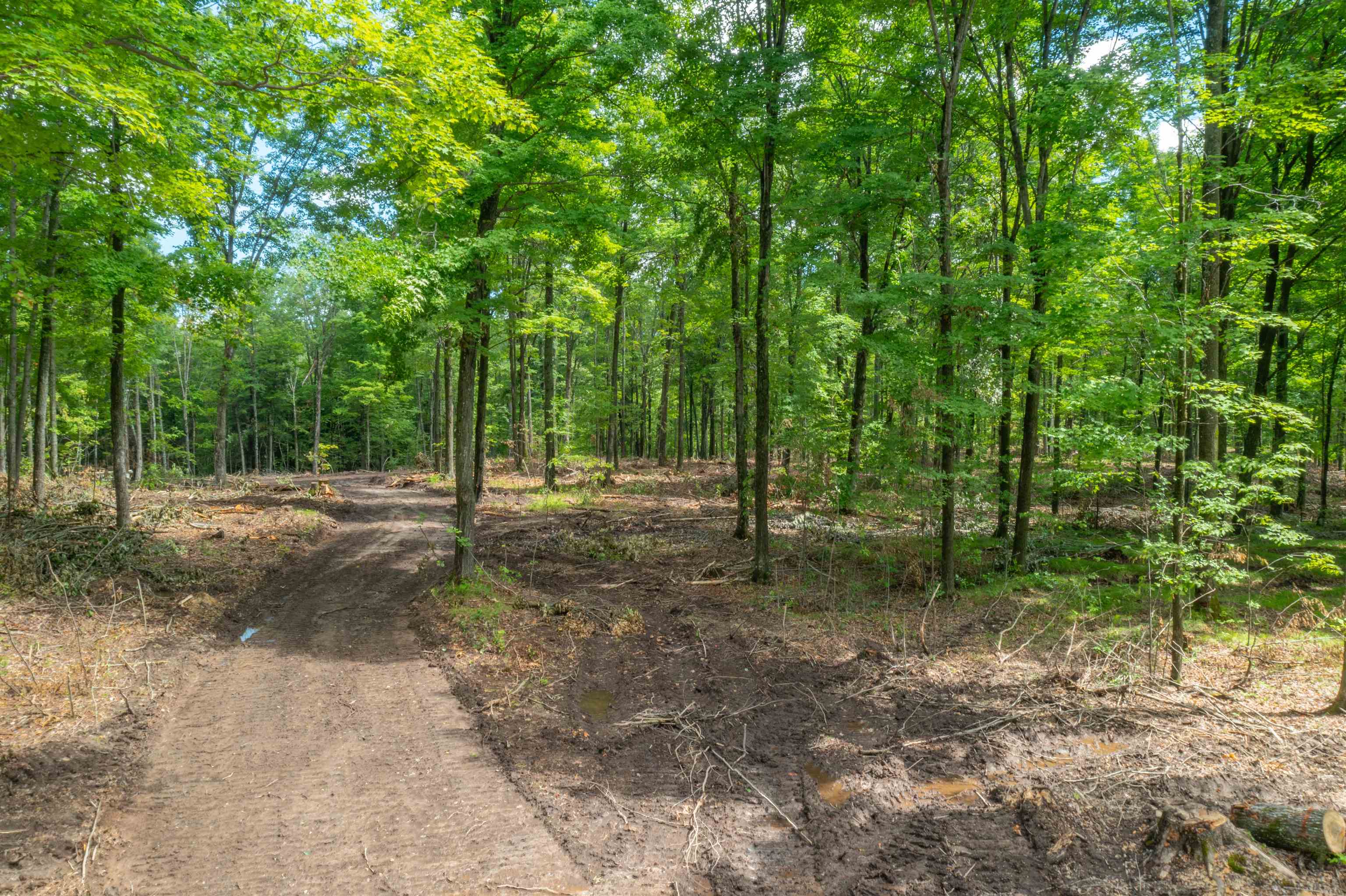W799 Barker Avenue Merrill, WI 54452 - Photo 51 of 60