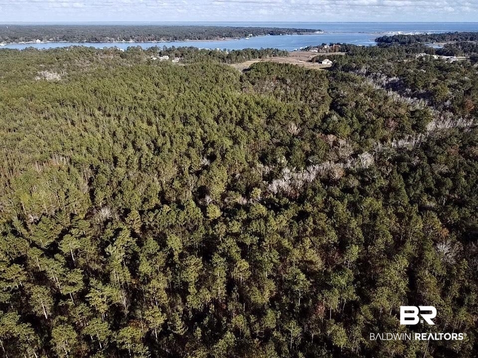0 Riverview Pointe Drive Theodore, AL 36582 - Photo 19 of 21