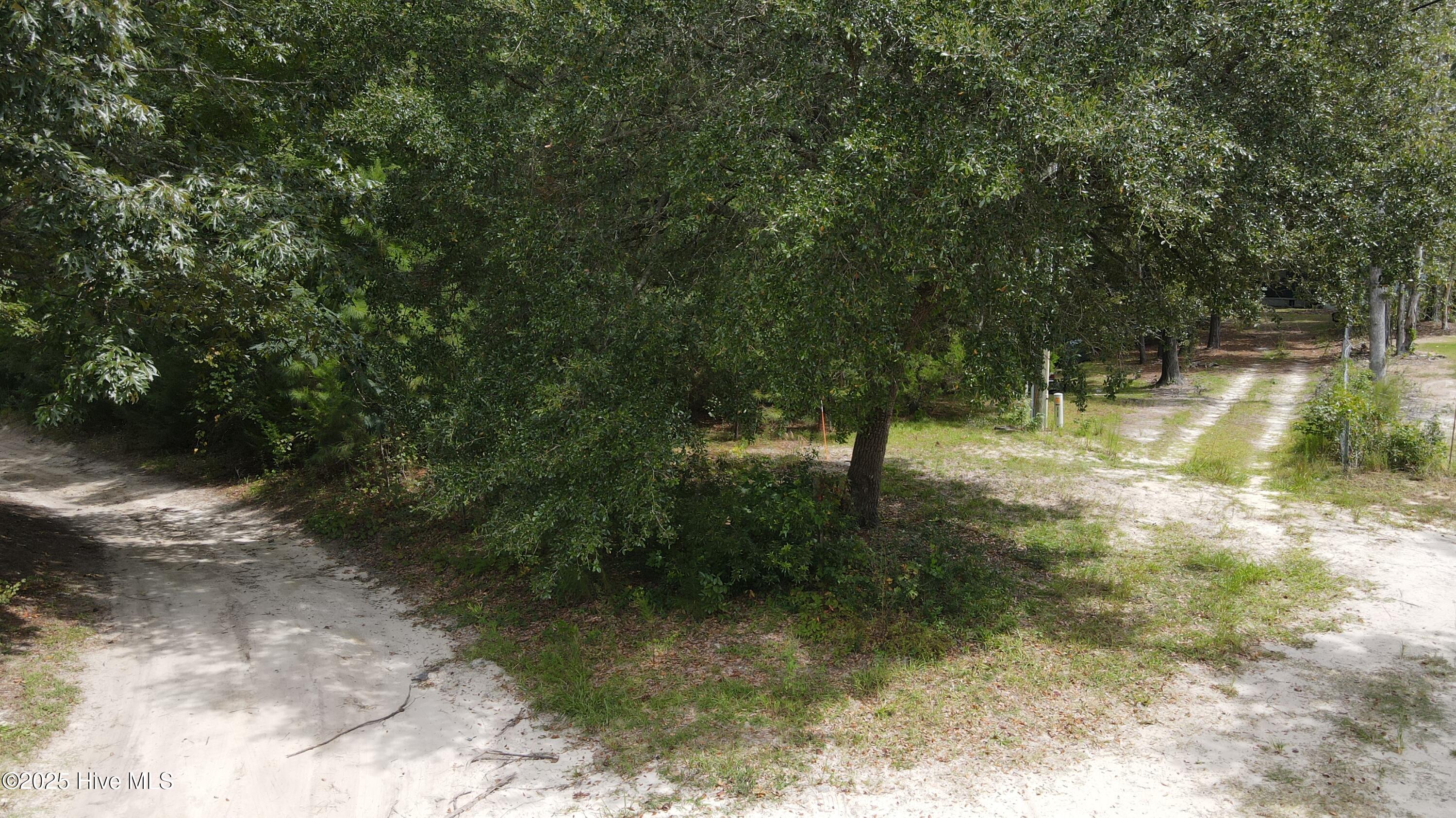 323 Clearview Drive Holly Ridge, NC 28445 - Photo 3 of 16 438_1757782543178_photo