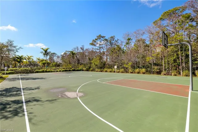 a view of a basket ball ground