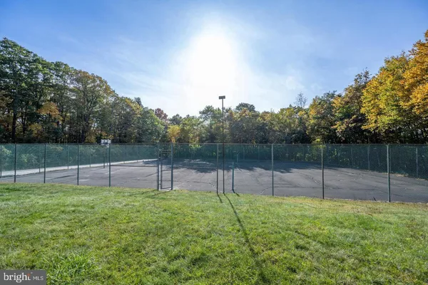 a view of a backyard with a swing