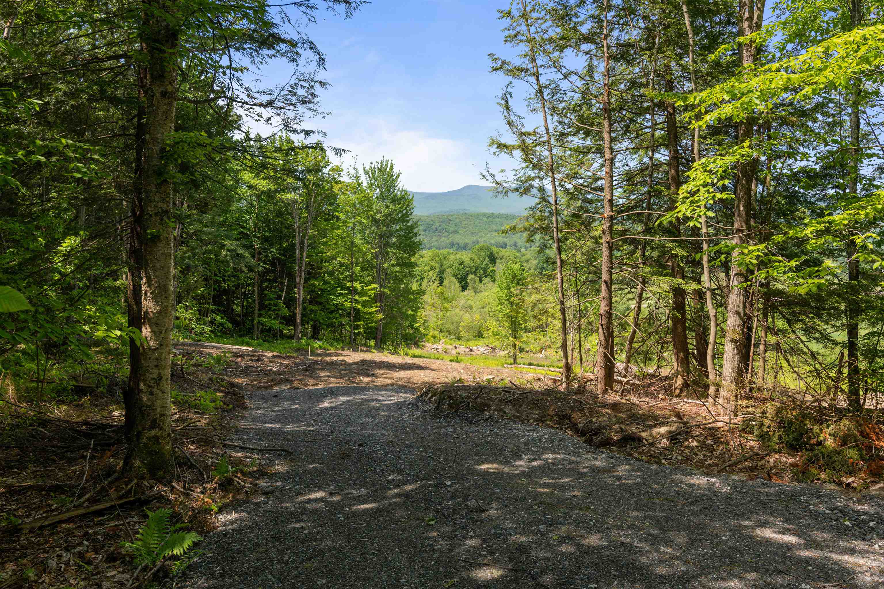 251 White Birch Road Morristown, VT 05661 - Photo 11 of 21