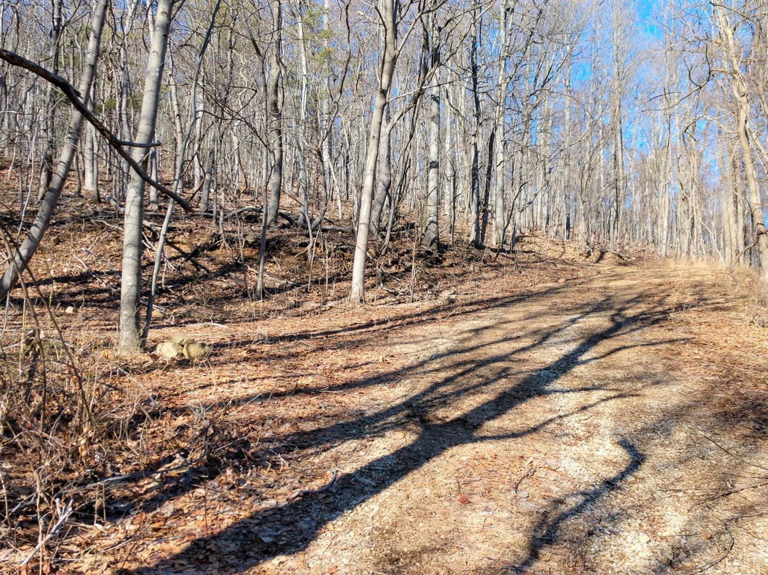 00 Cub Creek Road Roseland, VA 22967 - Photo 8 of 19 Gallery Image 8