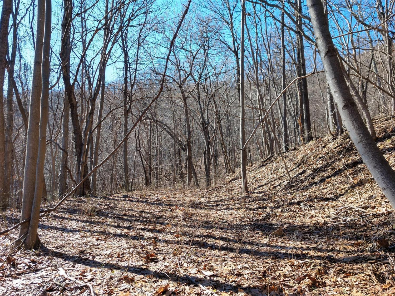 00 Cub Creek Road Roseland, VA 22967 - Photo 10 of 19 Gallery Image 10