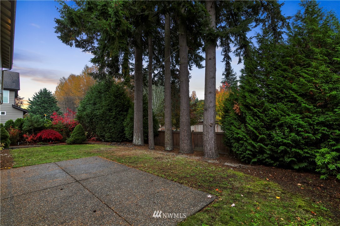 214 Ilwaco Place Southeast Renton, WA 98059 - Photo 33 of 39 Gallery Image 33