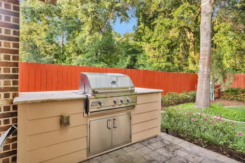 a view of a backyard with plants
