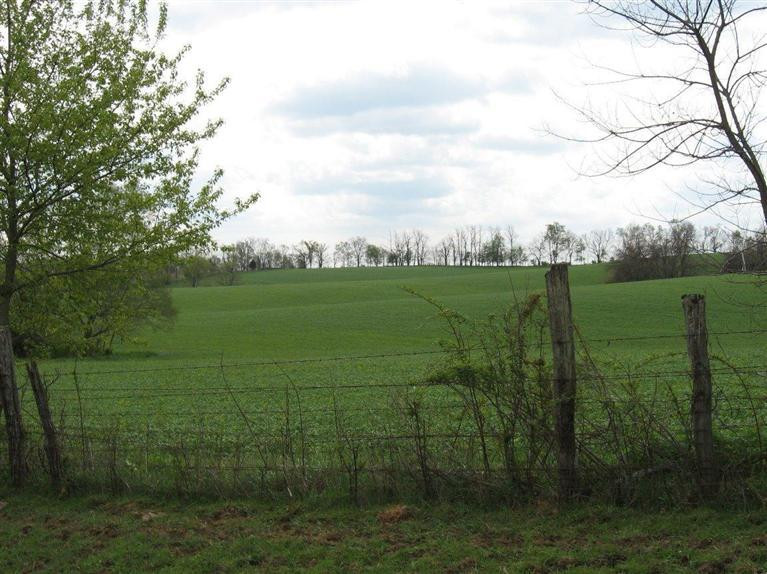 2404 Jackstown Road Carlisle, KY 40311 - Photo 21 of 36 Photo 21