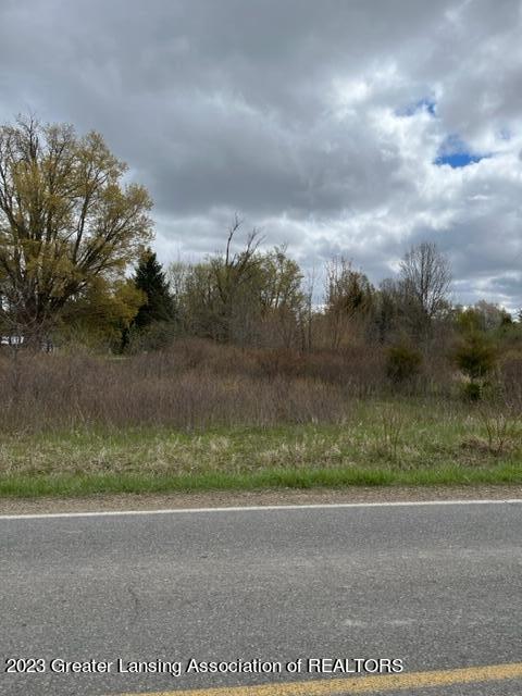 0 West Grand River Road Laingsburg, MI 48848 - Photo 1 of 2 70456307072__FCB5310E-DD33-4330-BC95-F41