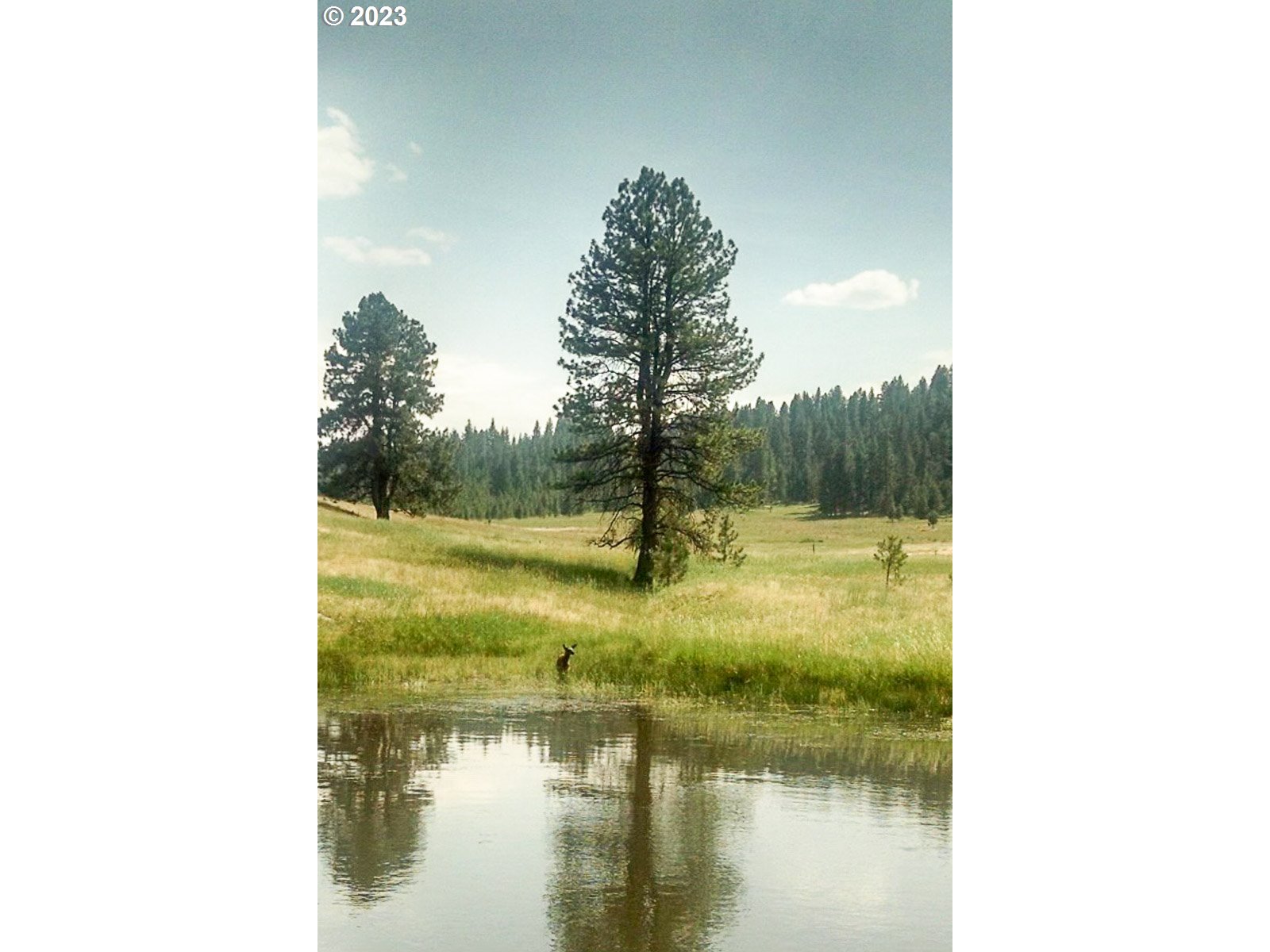 a view of a lake view