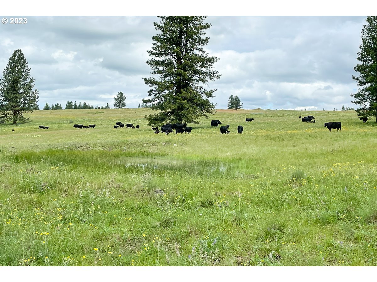Starvation Road Enterprise, OR 97828 - Photo 2 of 6 a view of a city