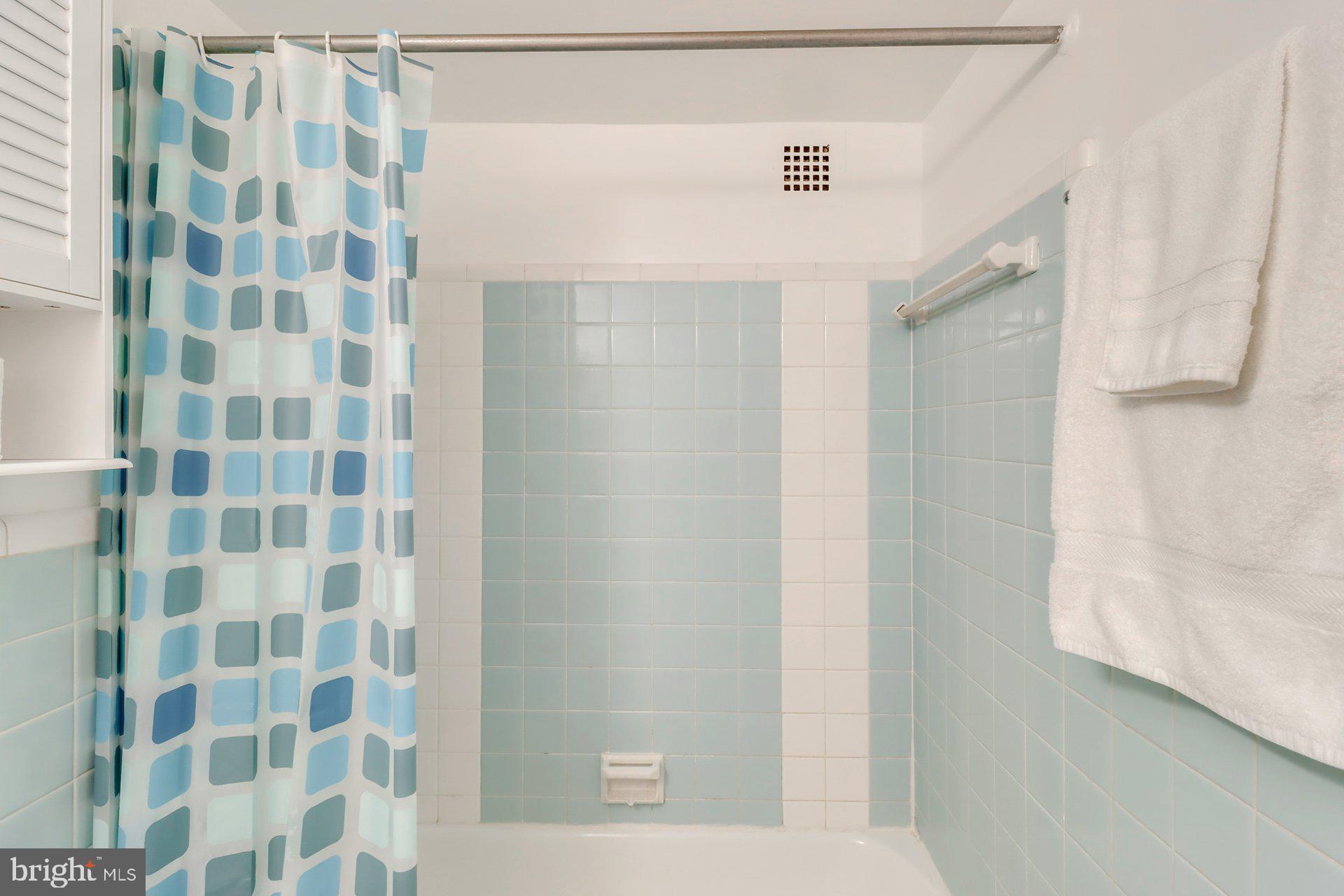 2710 Macomb Street Northwest, Unit 303 Washington, DC 20008 - Photo 9 of 18 Bathroom w/tub