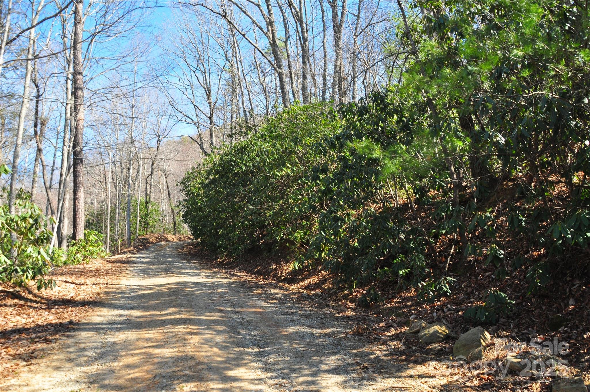 0 Stoneledge Road Hendersonville, NC 28792 - Photo 12 of 13 Gallery Image 12